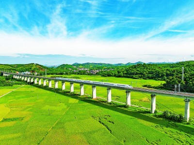 【大美中国】丰收景