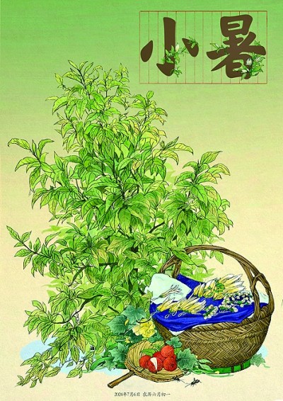 温风已至 季夏将启