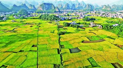 田园风景画卷