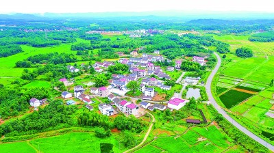 【大美中国】秀美田园