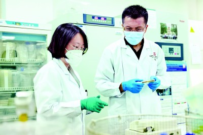 延续文化瑰宝的千年神韵风采