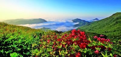 浙江清凉峰：峰峦叠翠云雾里 呦呦鹿鸣山涧中