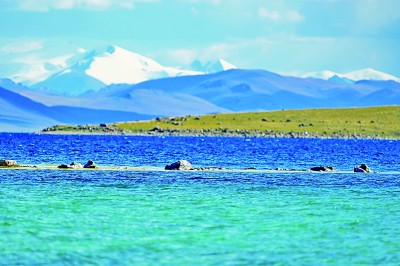 【大美中国】错鄂湖风光