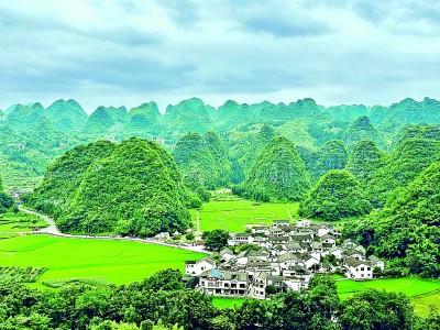 让这泼天的青绿，永不褪色！