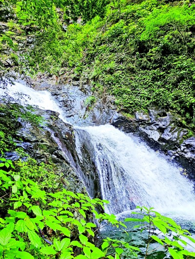 【生态聚焦】绿水青山 气象添彩