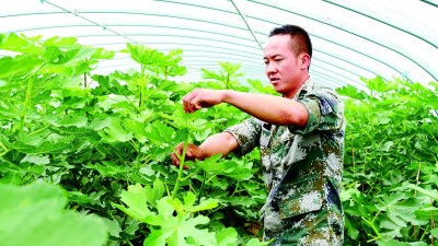 宁夏石嘴山市惠农区银河村：湿地保护引来“金凤凰”