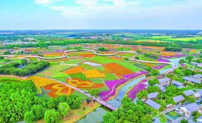 【大美中国】乐享生态之美