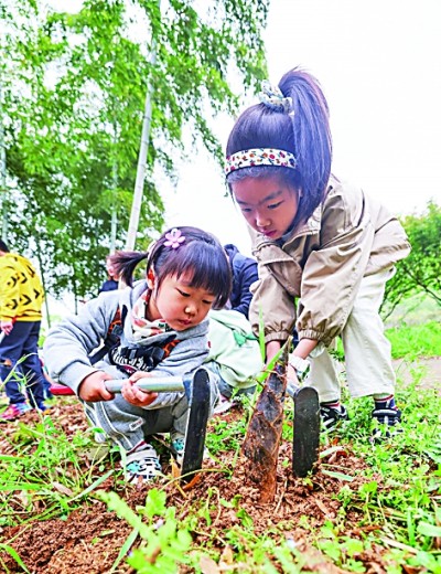 五位林草科技工作者倾情讲述——加强科技攻关 守护绿水青山