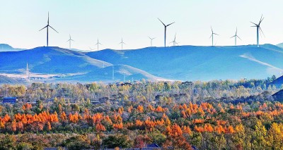 五位林草科技工作者倾情讲述——加强科技攻关 守护绿水青山