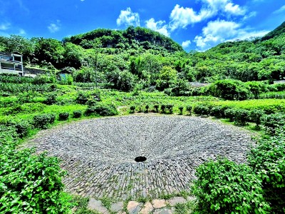 大地艺术点亮秀美乡村(图3)