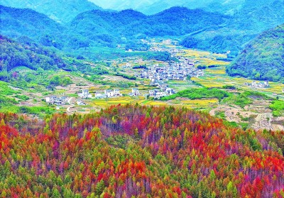 【大美中国】秋色美