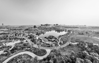 雄安美景
