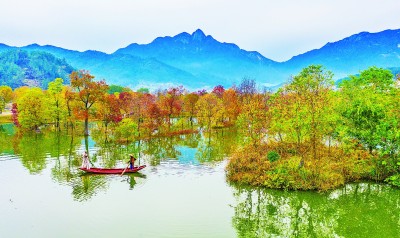 【大美中国】秋色浓