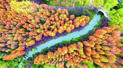 【大美中国】初冬美景