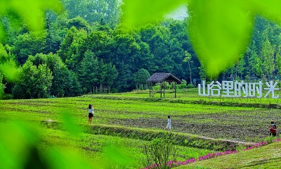 南京浦口区：田园如画寻风雅