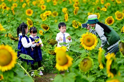 南京浦口区：田园如画寻风雅