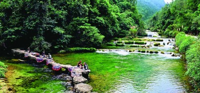 贵州荔波：石上有水 水上生林