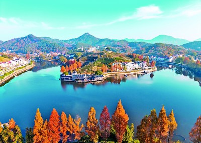 【大美中国】美丽乡村入画来