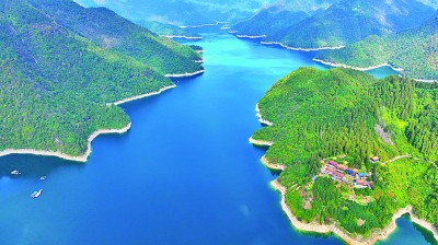 【大美中国】生态画卷