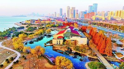 【大美中国】冬日海滨