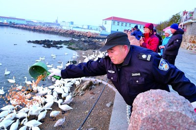 山东荣成烟墩角村：海滨明珠 魅力绽放