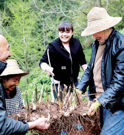 重庆市石柱土家族自治县中益乡华溪村：蜜蜂产业让生活更甜了