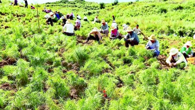 甘肃省定西市渭源县元古堆村：扮靓田园富百姓