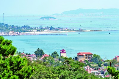 黄（渤）海猛禽跨海鸟道：万猛御风翱翔 山海接力护飞