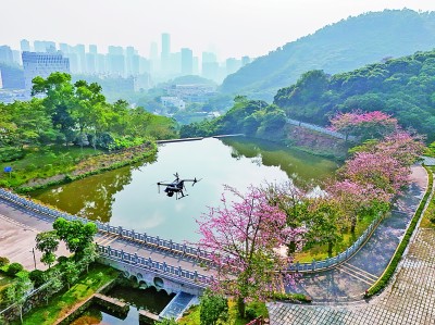 人工智能：来自科学，改变科学