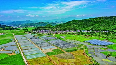 福建省南平市光泽县鸾凤乡油溪村：山里货变成“香饽饽”