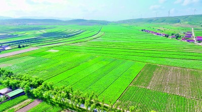 走，把科技成果“种”到田间地头——宁夏加速科技成果转化赋能现代农业高质量发展