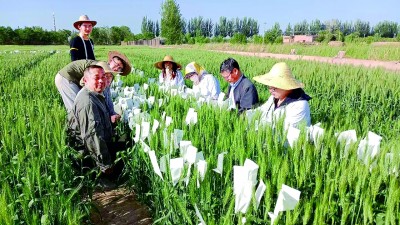 走，把科技成果“种”到田间地头——宁夏加速科技成果转化赋能现代农业高质量发展