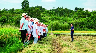 “行走”的思政课，“走新”又“走心”