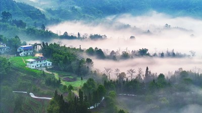 【大美中国】晨雾弥漫乡村美