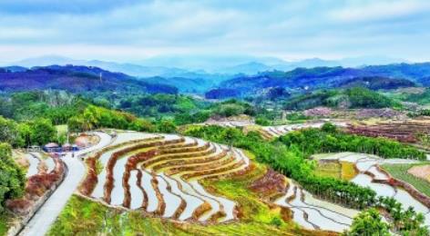 【大美中国】梯田美景