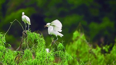 浙江仙居国家公园：山水成宝藏 万物竞自由