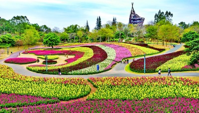 【大美中国】花开迎客