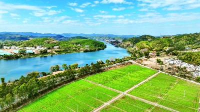 【大美中国】春意浓