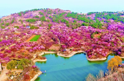 【大美中国】春暖花开