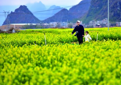 春天的中国，生机勃勃