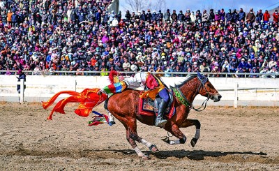 西藏：马背竞技迎新年