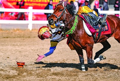 西藏：马背竞技迎新年