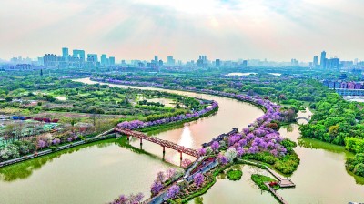 河涌清澈 繁花盛开