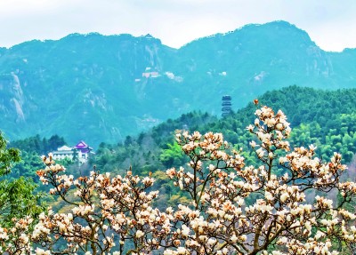 春到九华山