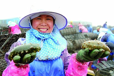 福建霞浦：海天一色绘新篇