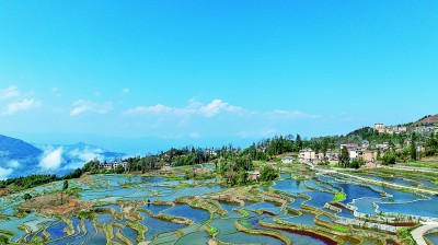 红河哈尼梯田的春日风光