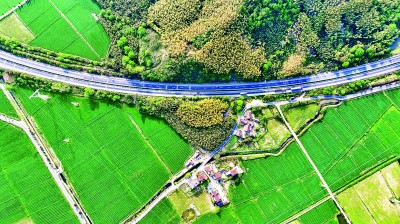 【大美中国】乡村春景