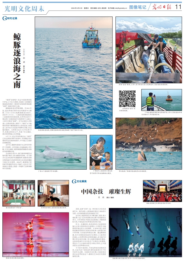 中国新闻奖新闻摄影组照类《鲸豚逐浪海之南》公示