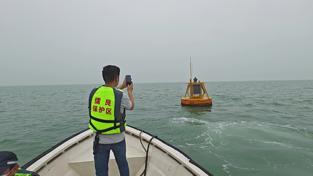 中国新闻奖新闻摄影组照类《鲸豚逐浪海之南》公示