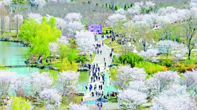 山东青岛西海岸新区张家楼街道达尼村：农民成画家 绘出好光景